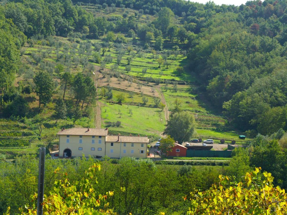 Apartment Aurora By Interhome Serravalle Pistoiese Kültér fotó